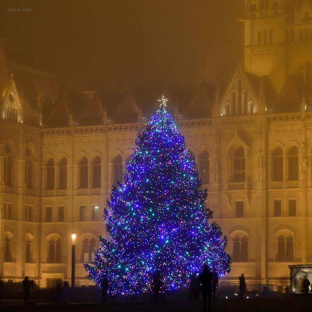 image_76953
