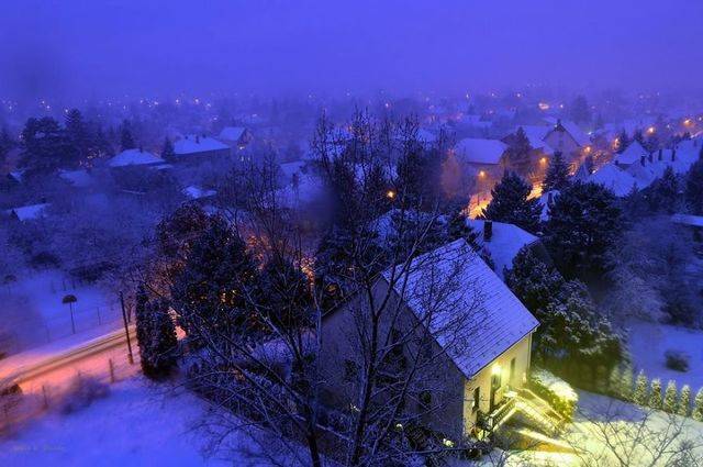 image_76962