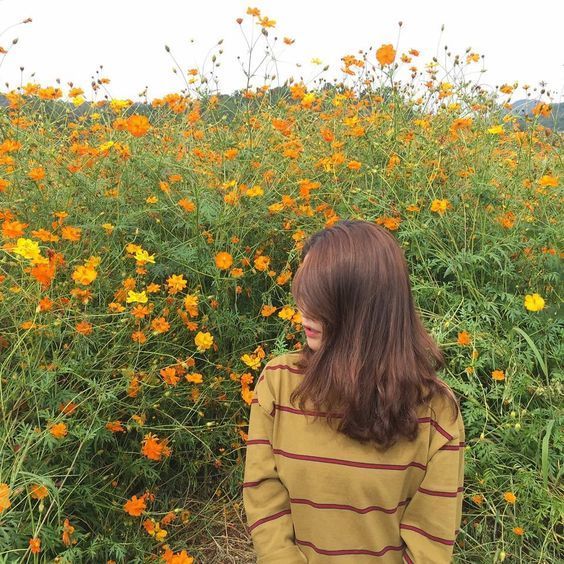 แคปชั่น ธรรมชาติ