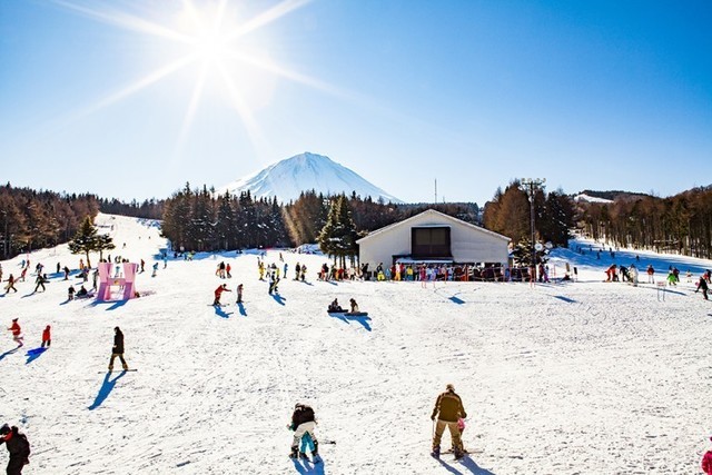 image_772162