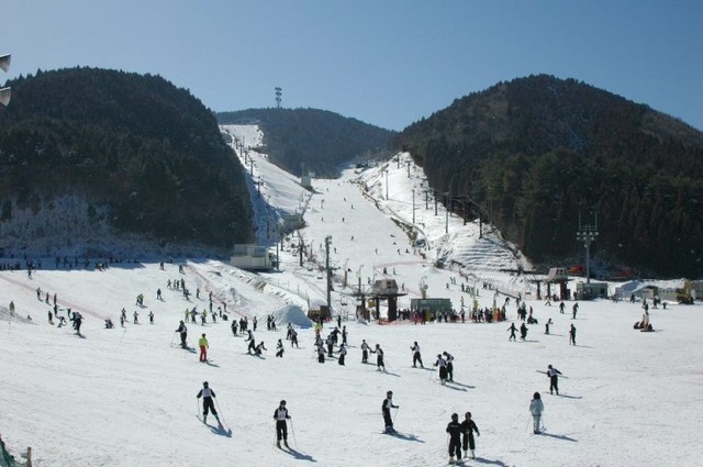 image_772173