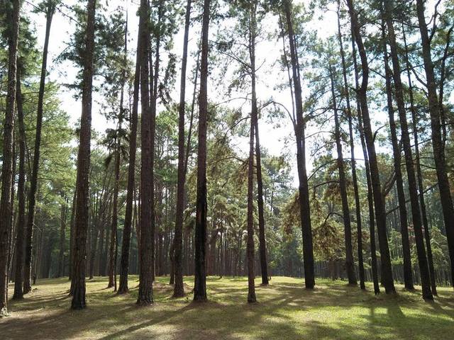 image_772838