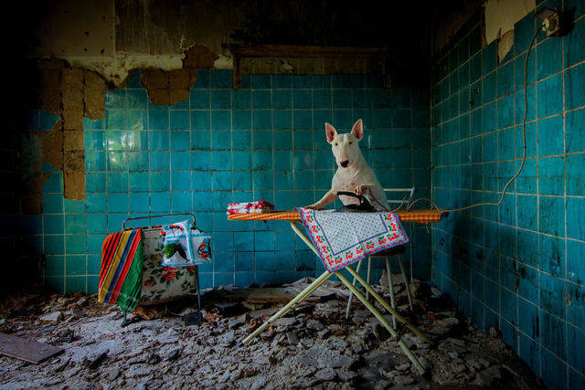 1452223750 me and my dog explore abandoned places across europe  880