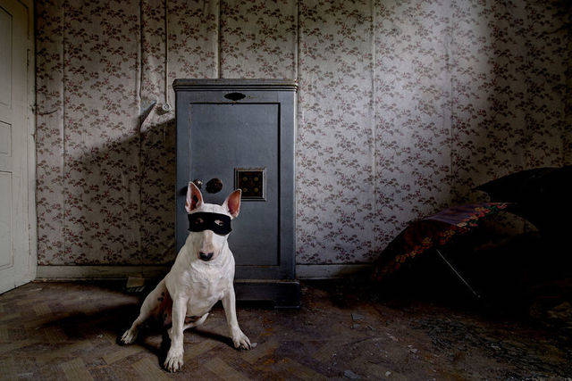 1452223871 me and my dog explore abandoned places across europe 2  880