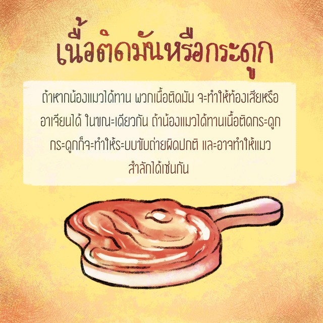 1540170453 03
