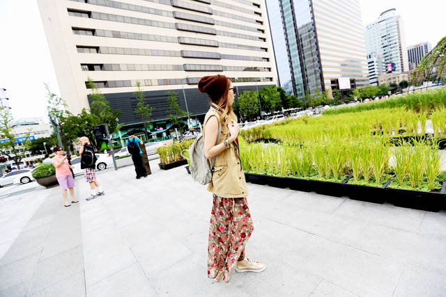 image_79282