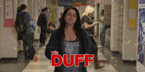 1541664366 duff