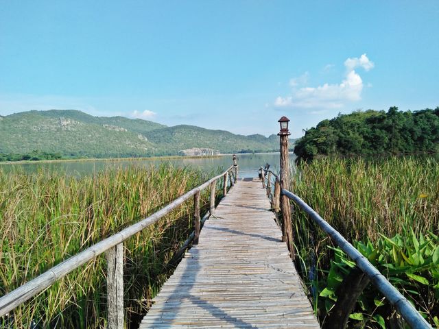 image_807313