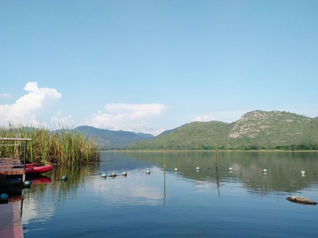 image_807318