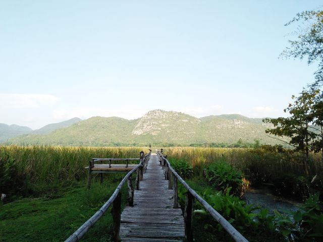 image_807319
