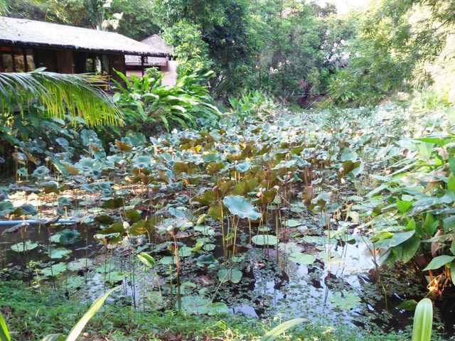 image_807324