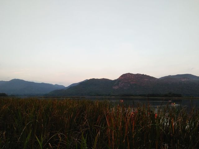 image_807326
