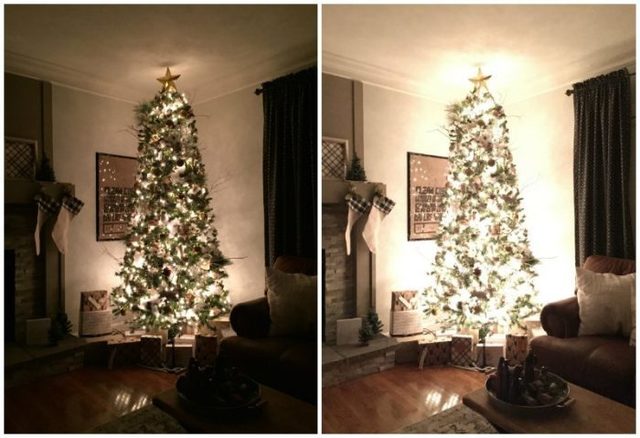 1544889422 christmas tree nights tour 700x479