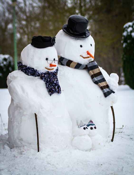 image_829331