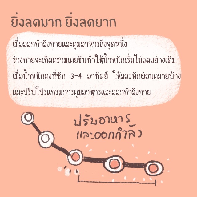 1548271510 6