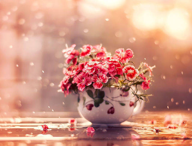 1453702289 i create whimsical images using flowers 5  880