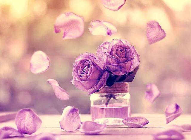 1453702505 i create whimsical images using flowers1  880