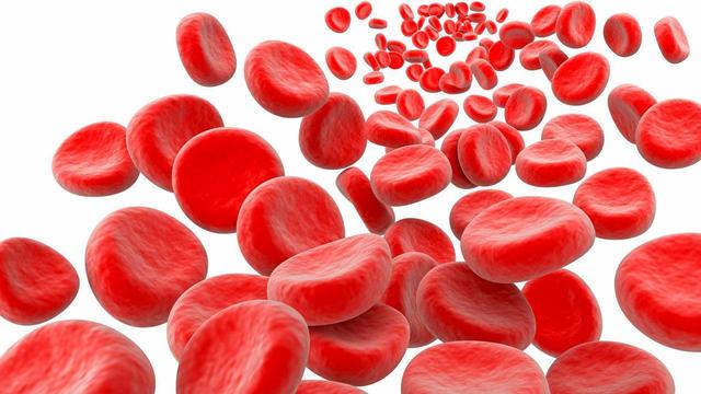 1552636909 stemcell%e0%b8%98%e0%b8%b2%e0%b8%a5%e0%b8%b1%e0%b8%aa%e0%b8%8b%e0%b8%b5%e0%b9%80%e0%b8%a1%e0%b8%b5%e0%b8%a2