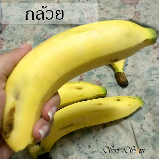 1553937766 %e0%b8%81%e0%b8%a5%e0%b9%89%e0%b8%a7%e0%b8%a2 sq