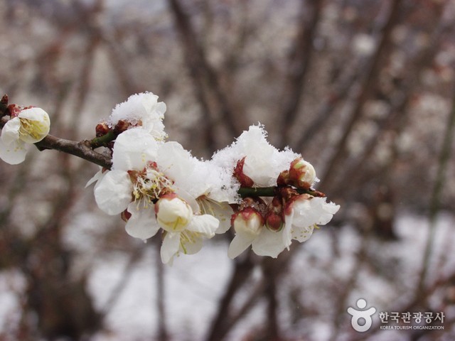 image_888335