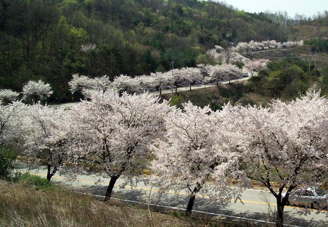 image_888359