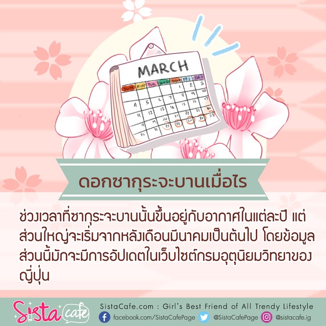1554392735 154ccf5b d1db 41d8 a8c1 fdc8e93b5801