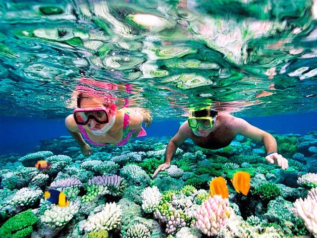 1554871235 snorkel in cancun