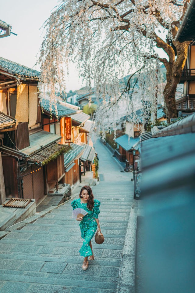 1555682154 cherry blossom sakura japan 2018 007 450x675 2x