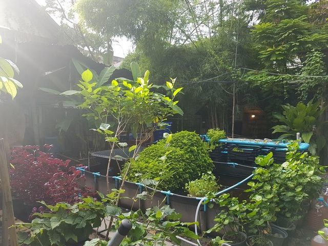 image_896539