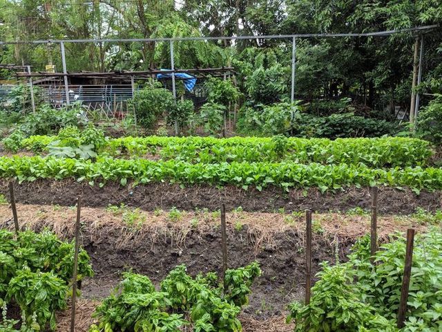 image_896543