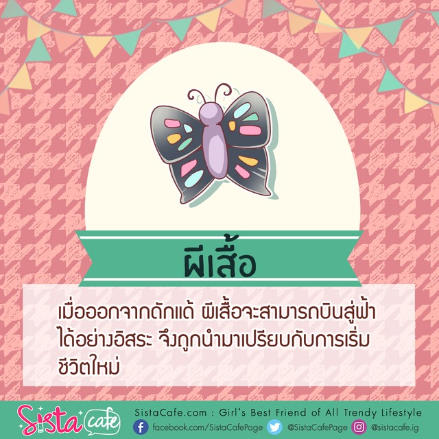 1555860546 7bc73a52 051a 4272 80dd 5bd3b03c4417