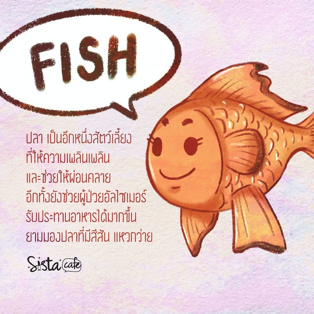 1557650735 04