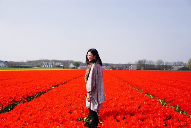 1557747325 tulip5