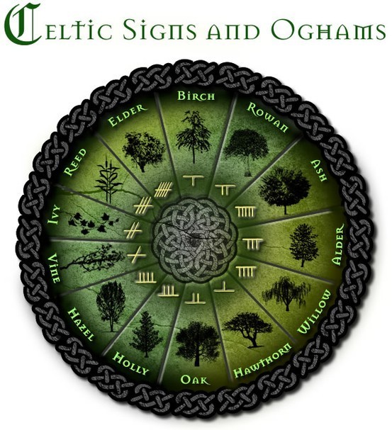 https://image.sistacafe.com/images/uploads/content_image/image/9071/1433852409-celtic-signs-oghams.jpg