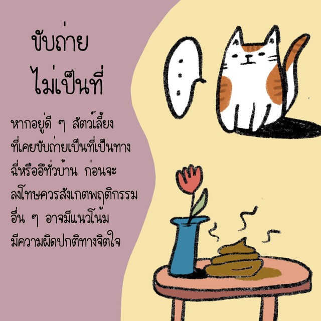 1559099853 img 4211