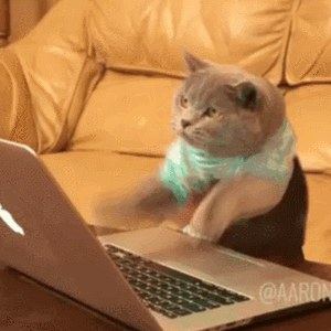 1560586018 giphy
