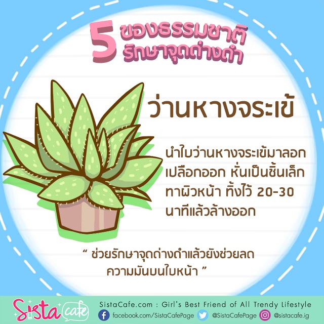 1561530349 fruit5