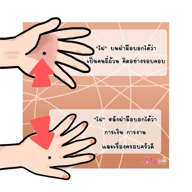 1564046118 4.2