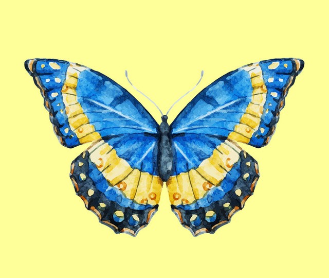 My Image 11