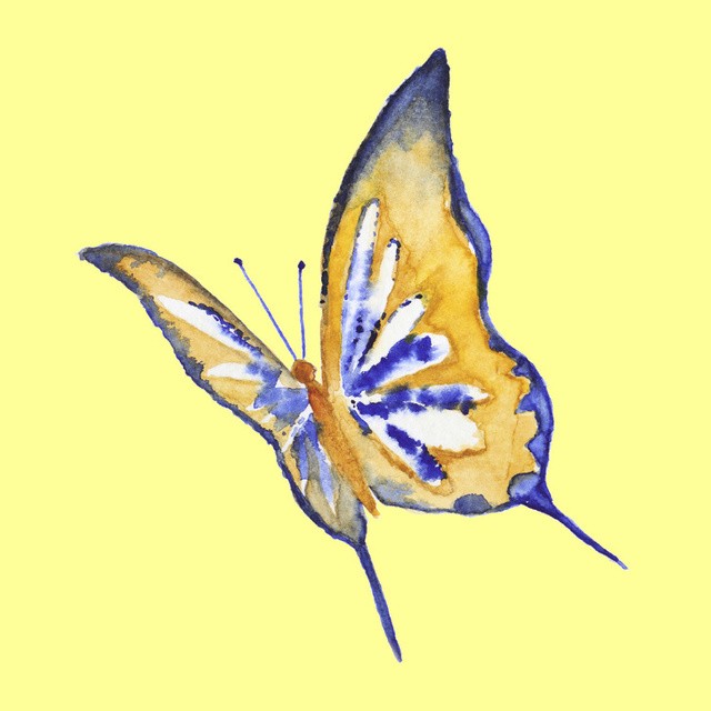 My Image 22