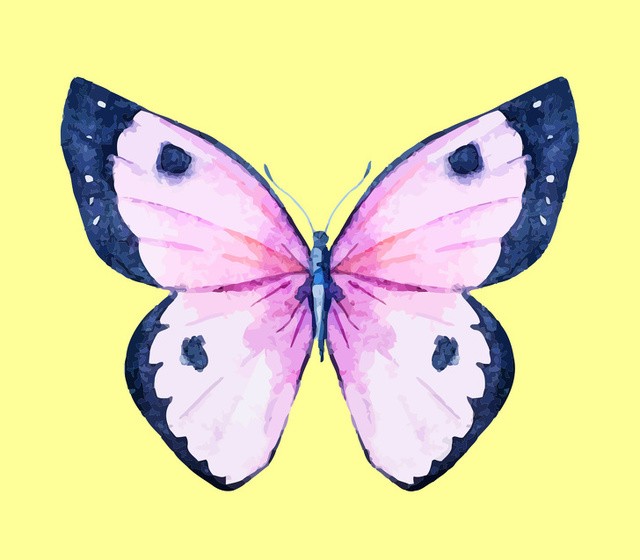 My Image 13