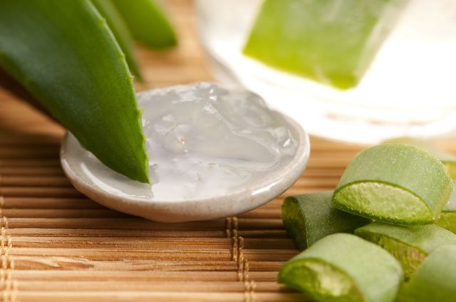 1565141032 aloes na dziasla
