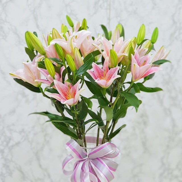 1567842188 floraison pink lily