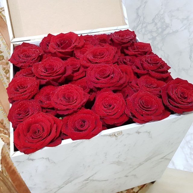 1567842400 floraison red rose
