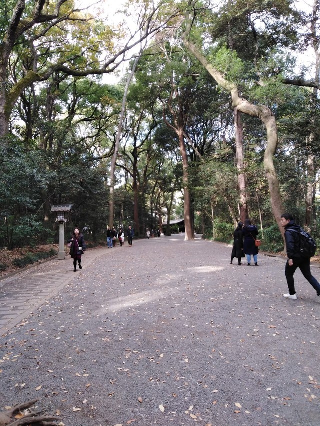1568617659 tokyo 2018 %ef%b8%8f 190826 0369