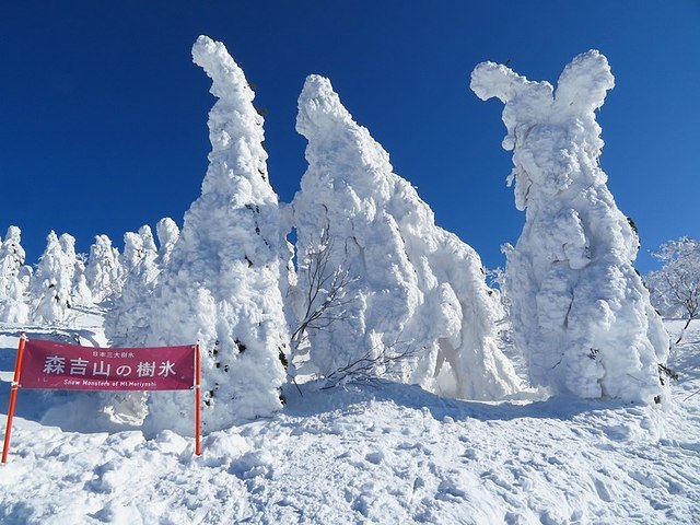 1572918095 800px snow monster of mount moriyoshi 01