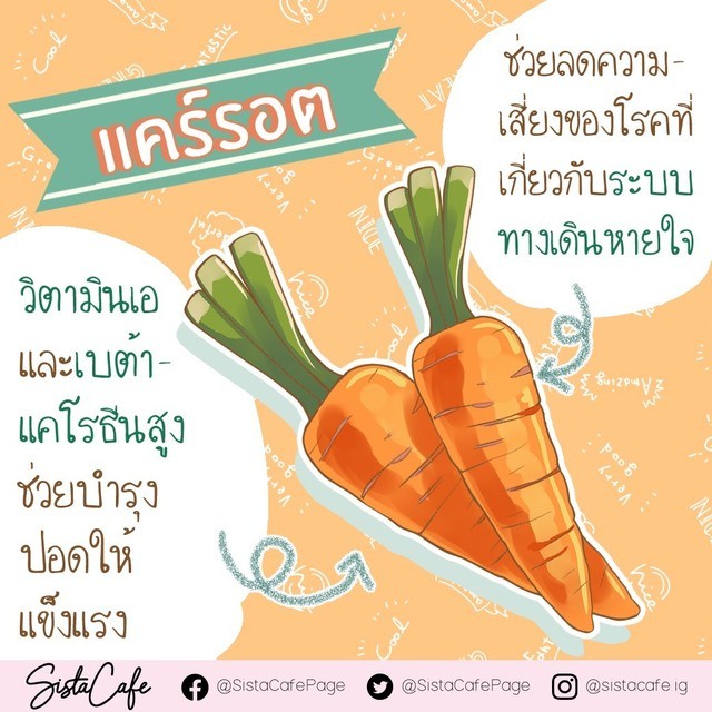 1608210518 1608210513304