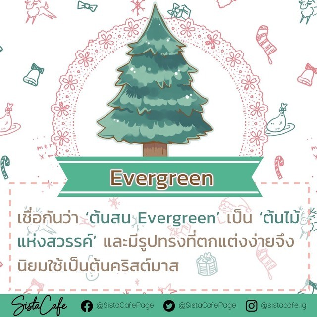 1608014659 1608014619591
