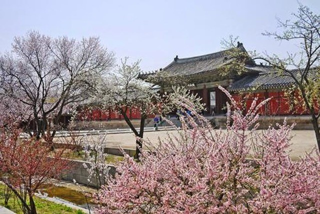 image_984662
