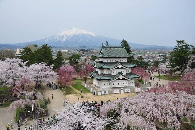 image_995685